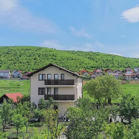 Pensiunea Albina Sinnicoara Ngoại thất bức ảnh