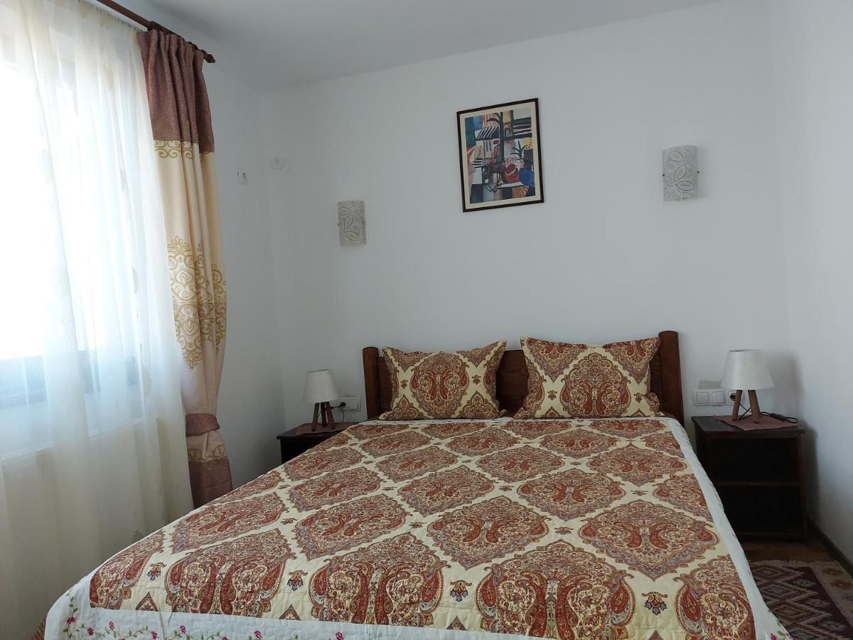 Pensiunea Albina Sinnicoara Ngoại thất bức ảnh