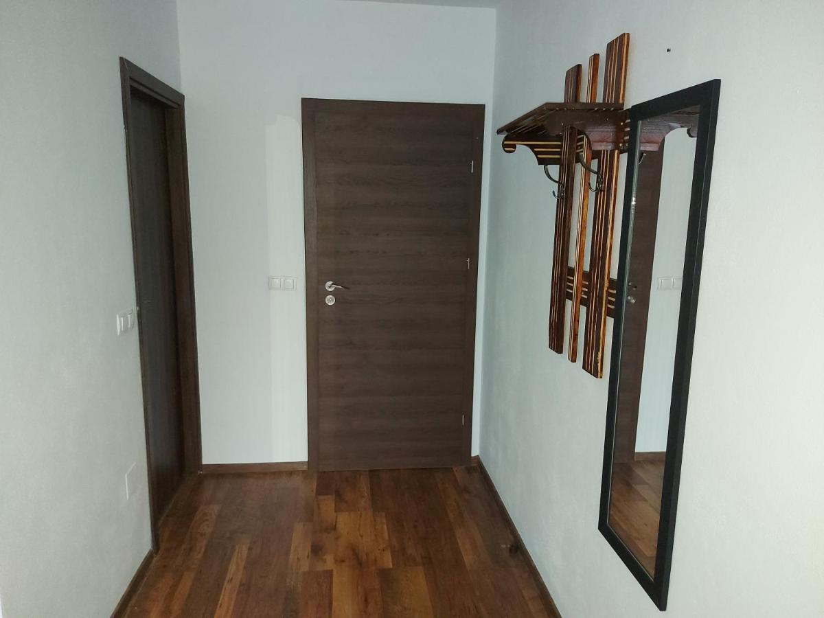 Pensiunea Albina Sinnicoara Ngoại thất bức ảnh