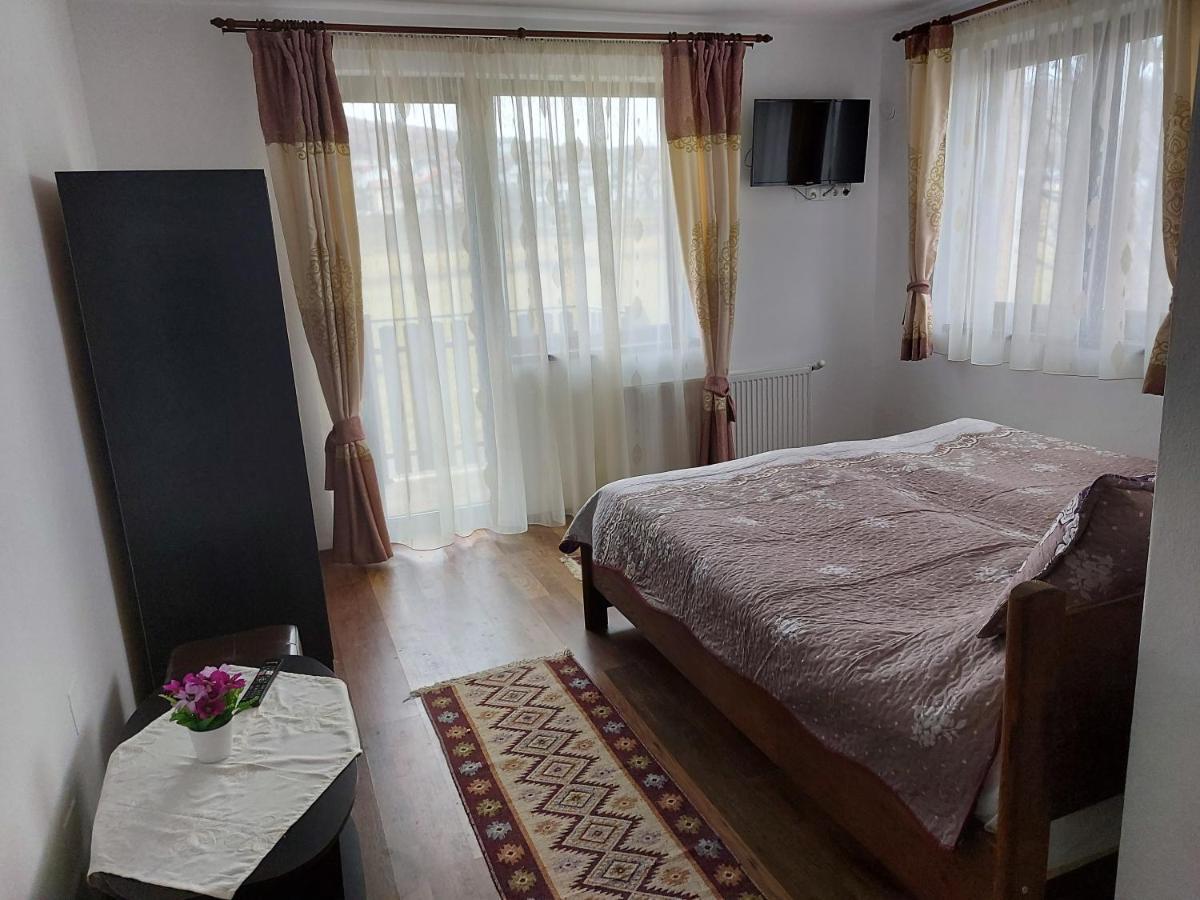 Pensiunea Albina Sinnicoara Ngoại thất bức ảnh
