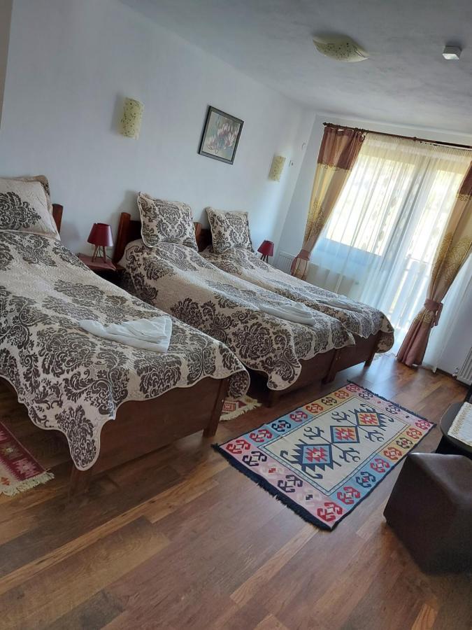 Pensiunea Albina Sinnicoara Ngoại thất bức ảnh