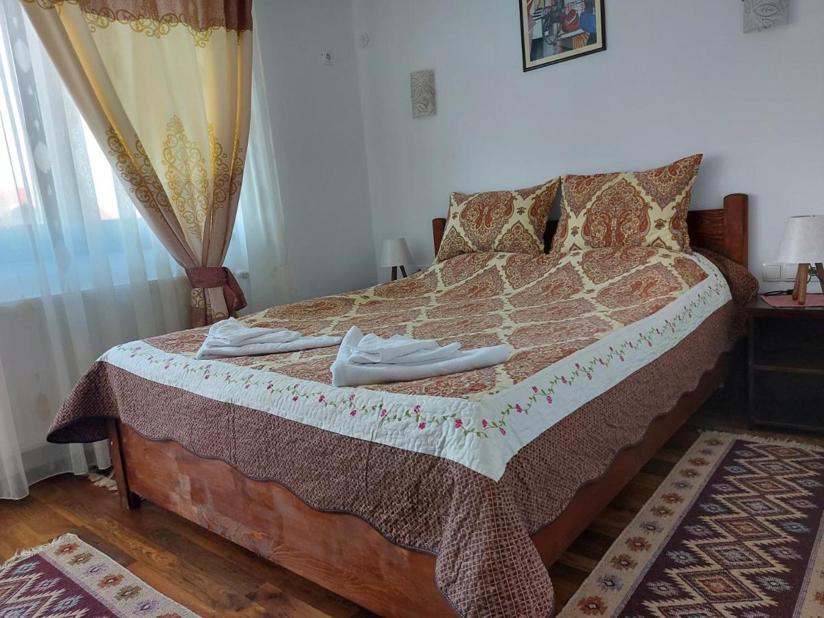 Pensiunea Albina Sinnicoara Ngoại thất bức ảnh